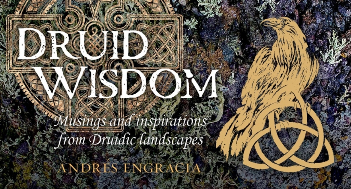 Picture of Druid Wisdom