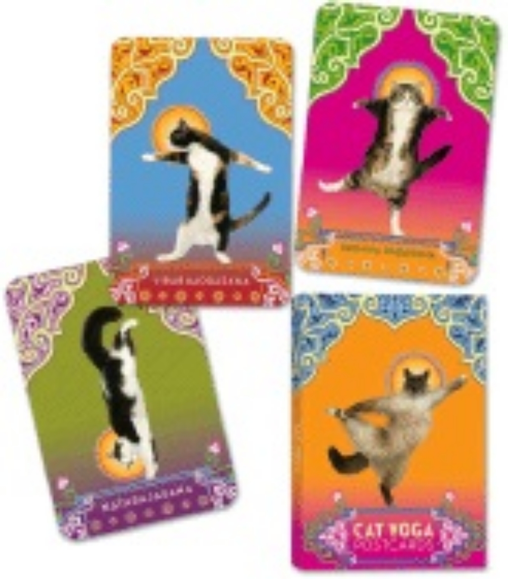 Picture of Cat yoga postcards