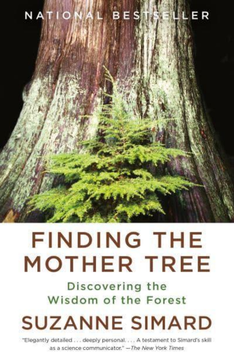 Picture of Finding the Mother Tree