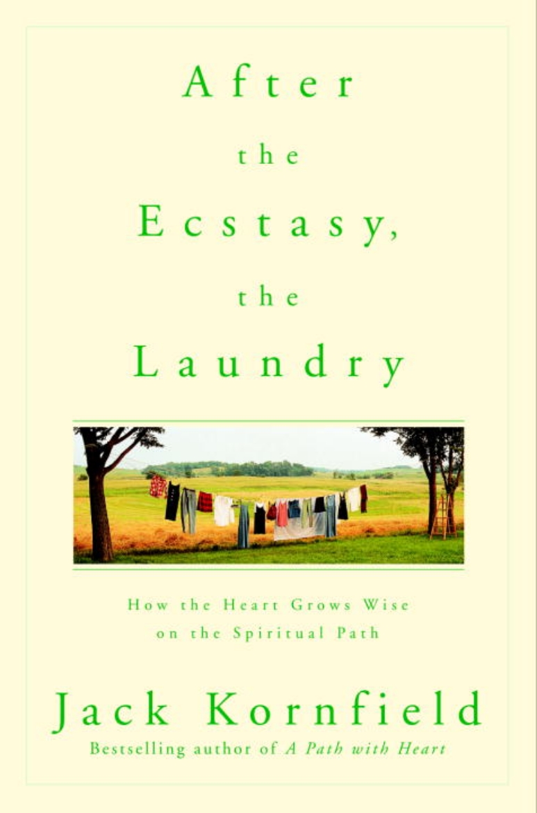 Picture of After the Ecstasy, the Laundry