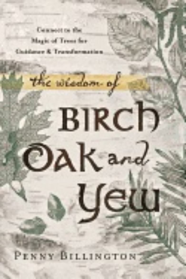 Picture of Wisdom of birch, oak, and yew - connect to the magic of trees for guidance