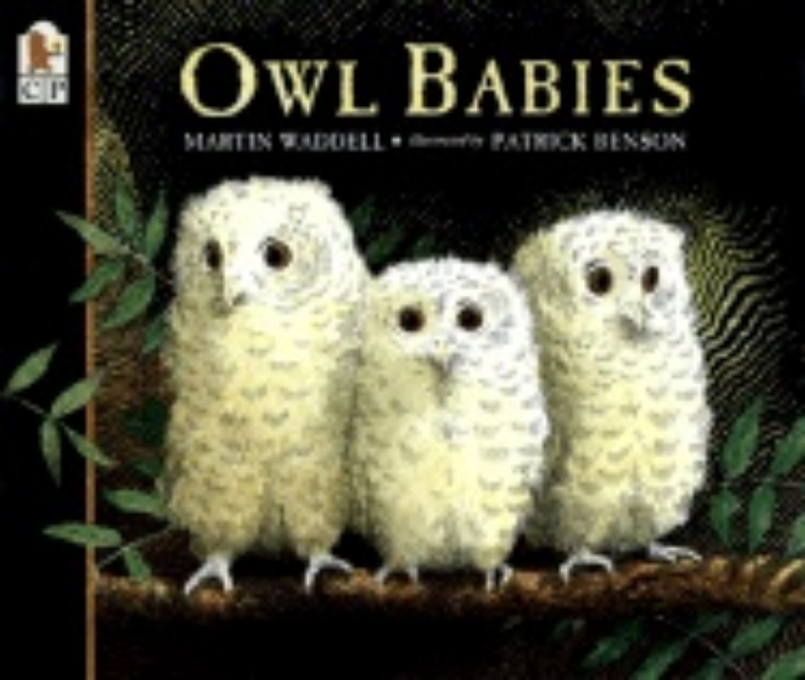 Picture of Owl Babies