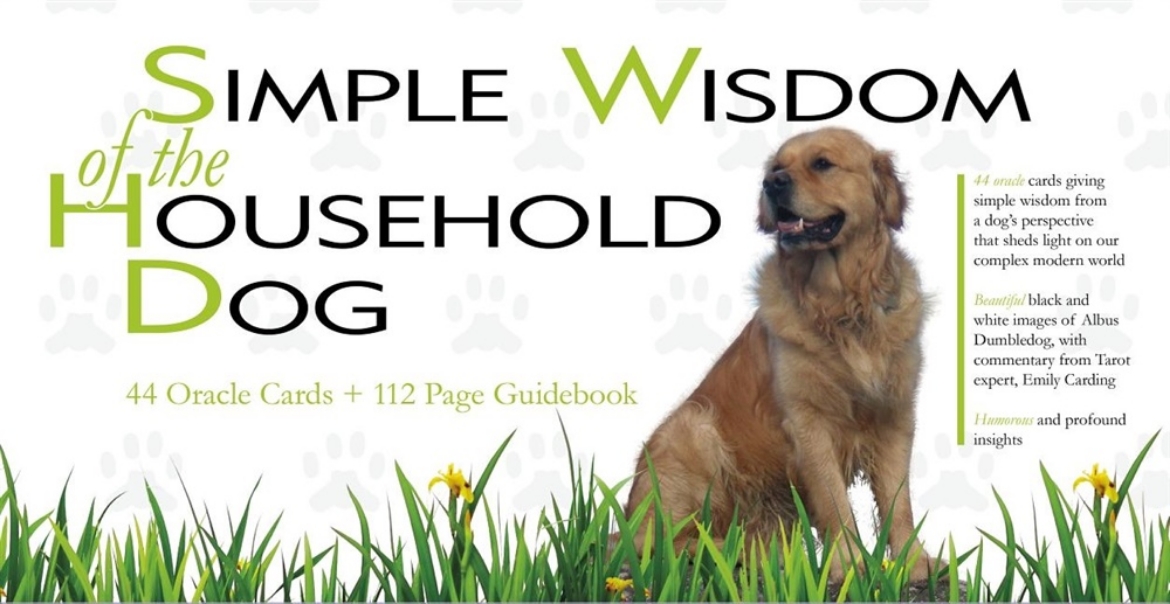 Picture of Simple wisdom of the household dog - an oracle