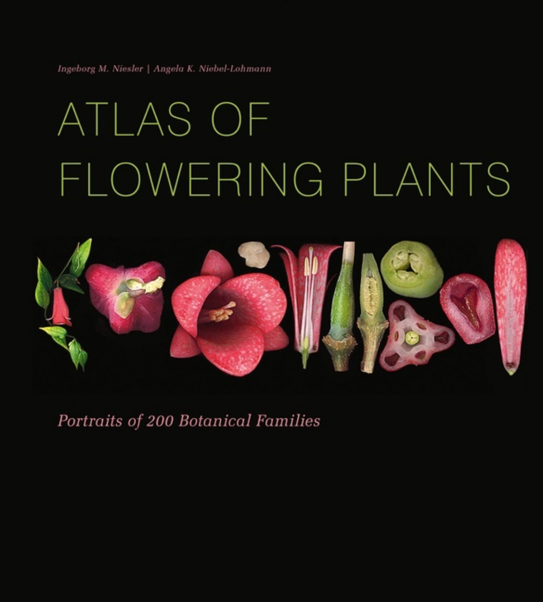 Picture of Atlas Of Flowering Plants