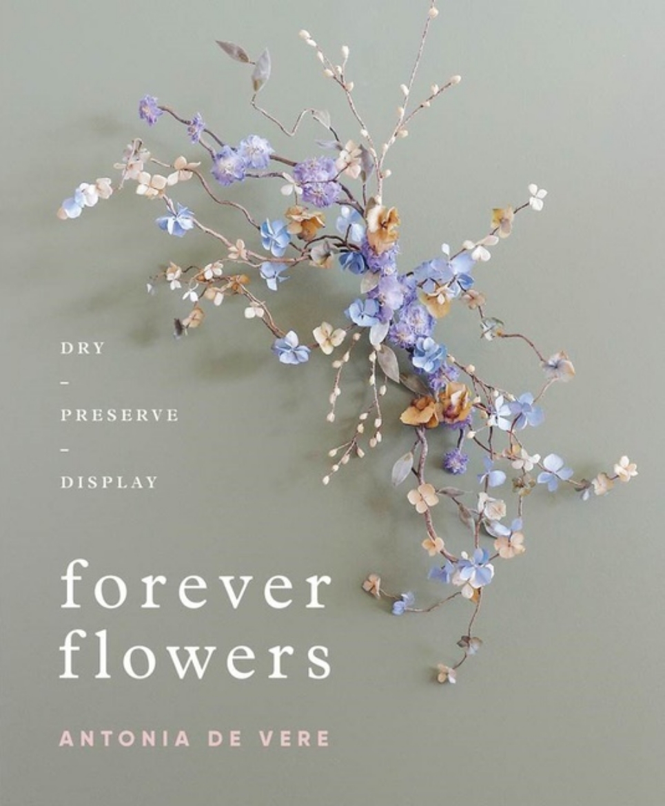 Picture of Forever Flowers : Dry, Preserve, Display