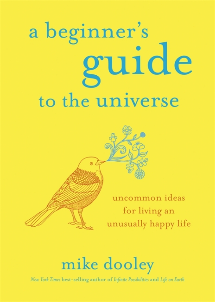 Picture of A Beginner's Guide to the Universe