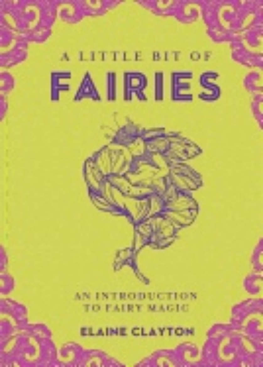 Picture of Little bit of fairies - an introduction to fairy magic