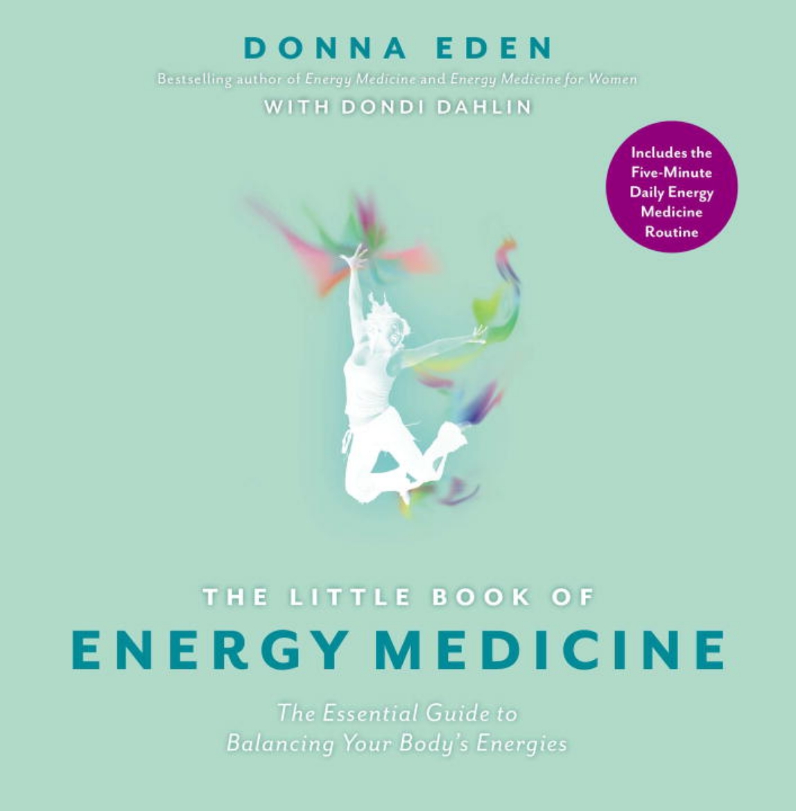 Picture of The Little Book of Energy Medicine