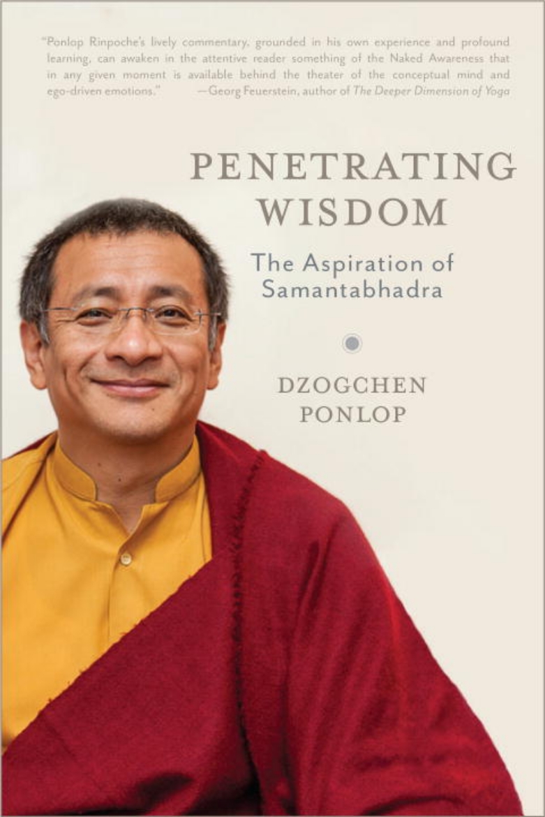 Picture of Penetrating wisdom