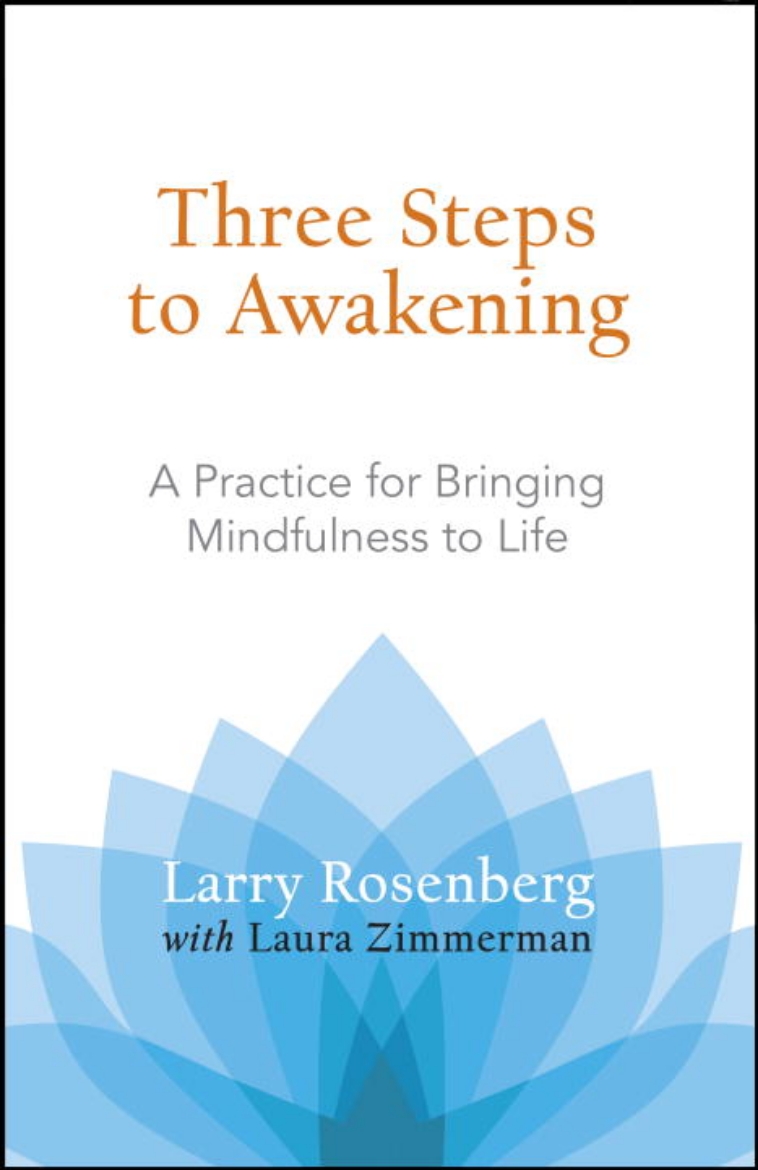 Picture of Three Steps to Awakening : A Practice for Bringing Mindfulness to Life