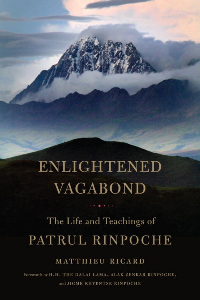 Picture of Enlightened vagabond