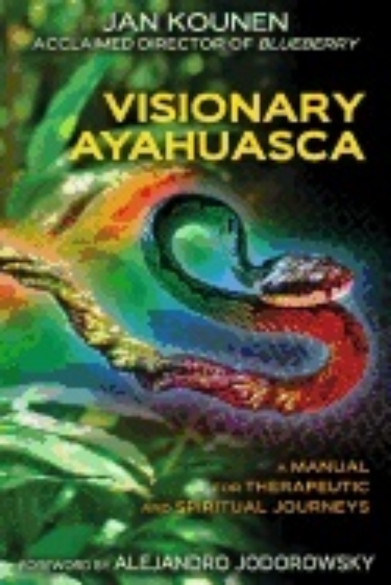 Picture of Visionary Ayahuasca : A Manual for Therapeutic and Spiritual  Journeys