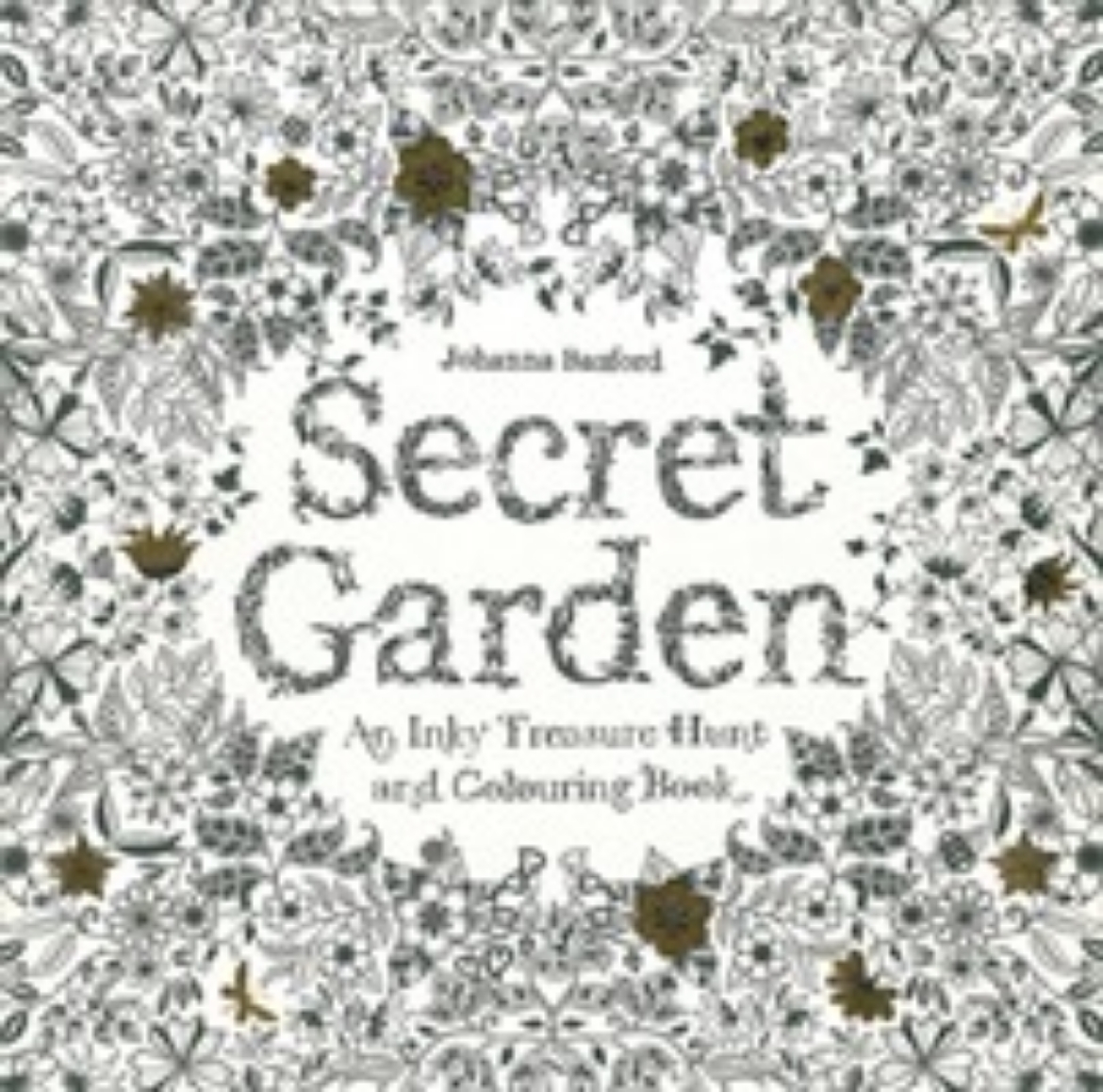 Picture of Secret Garden - An Inky Treasure Hunt and Colouring Book