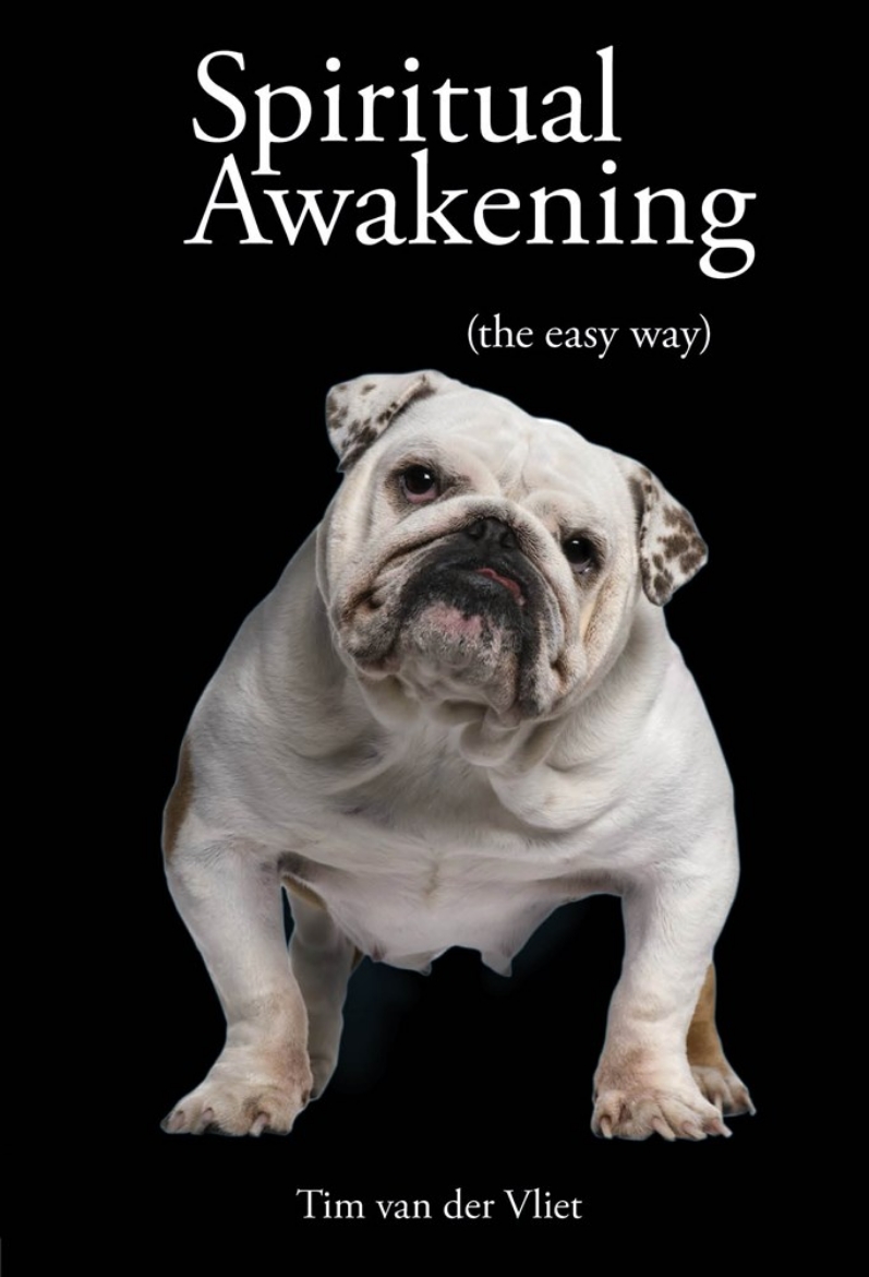Picture of Spiritual awakening - (the easy way)