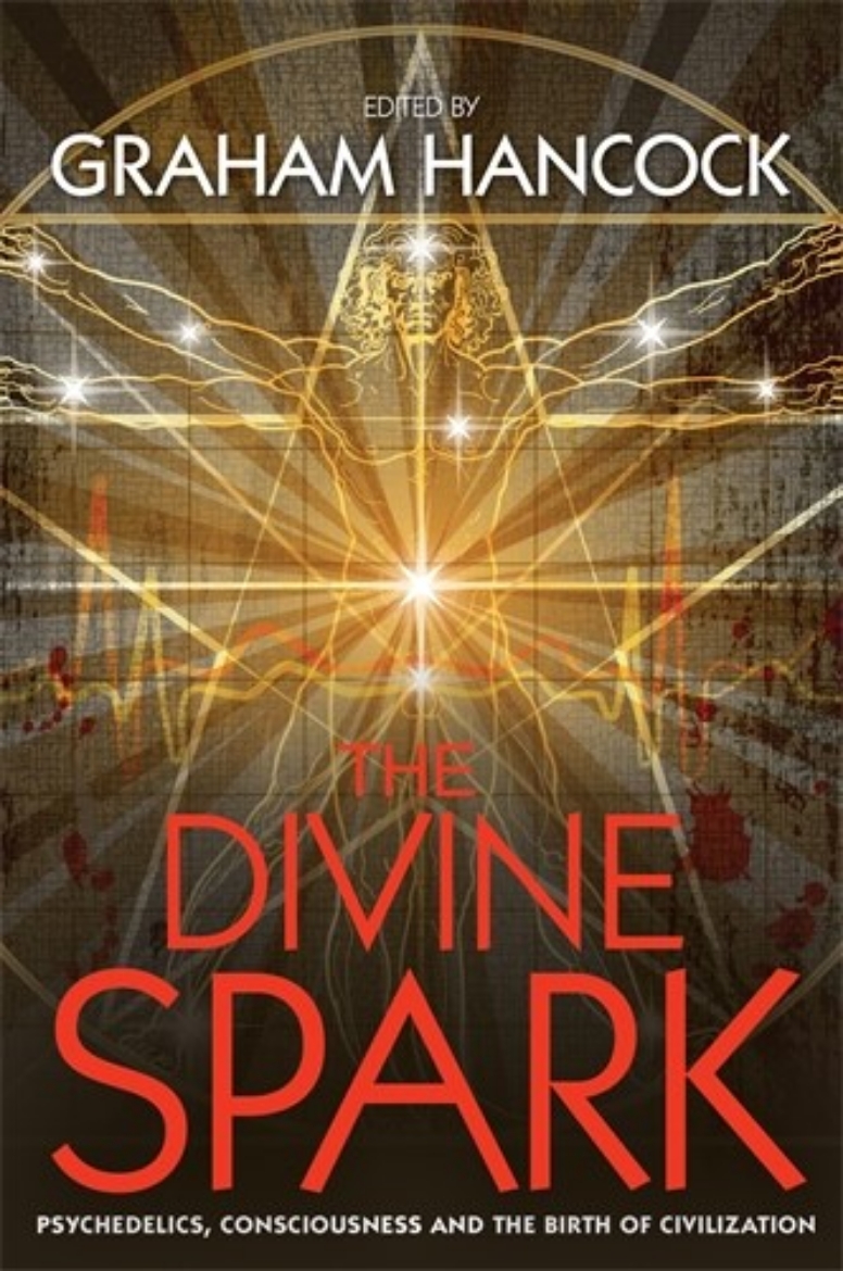 Picture of Divine spark - psychedelics, consciousness and the birth of civilization