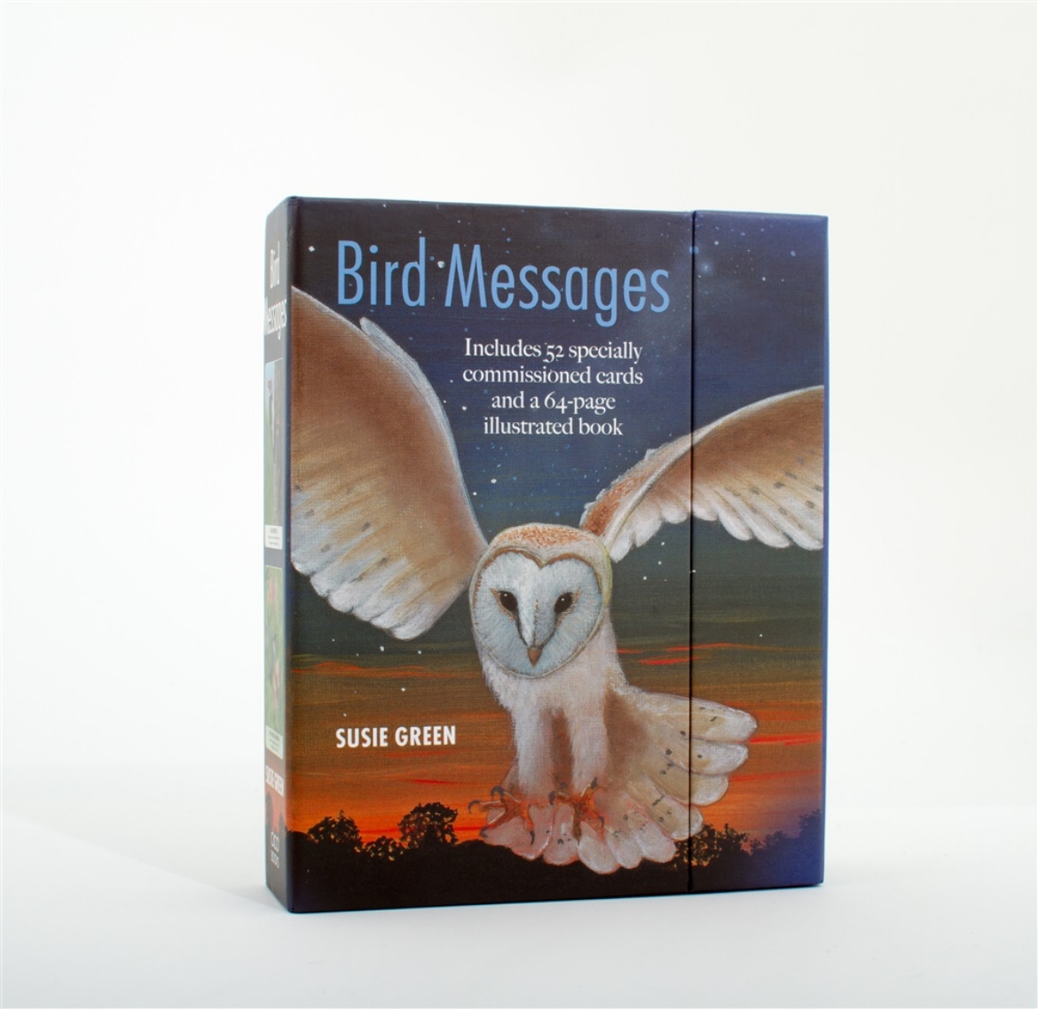 Picture of Bird Messages