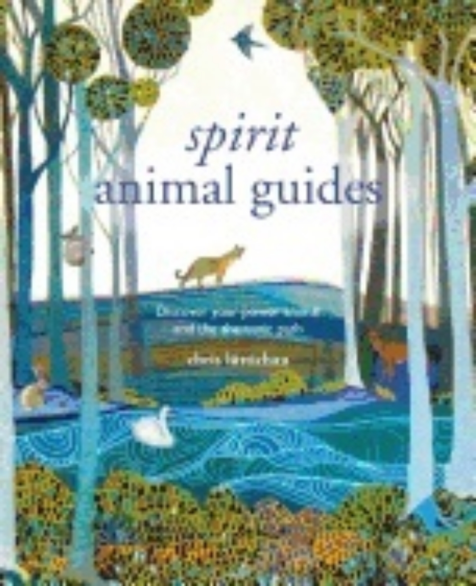 Picture of Spirit Animal Guides