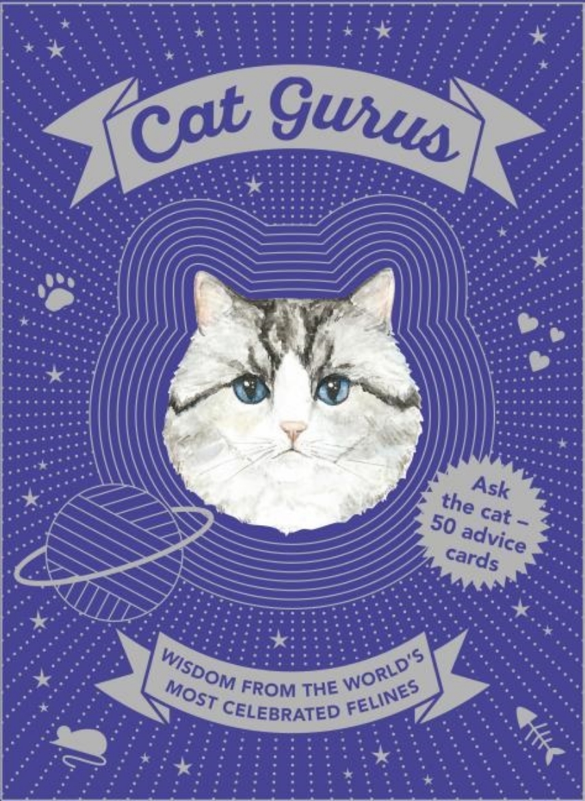 Picture of Cat Gurus