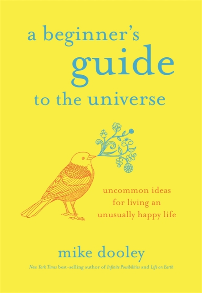 Picture of A Beginner's Guide to the Universe