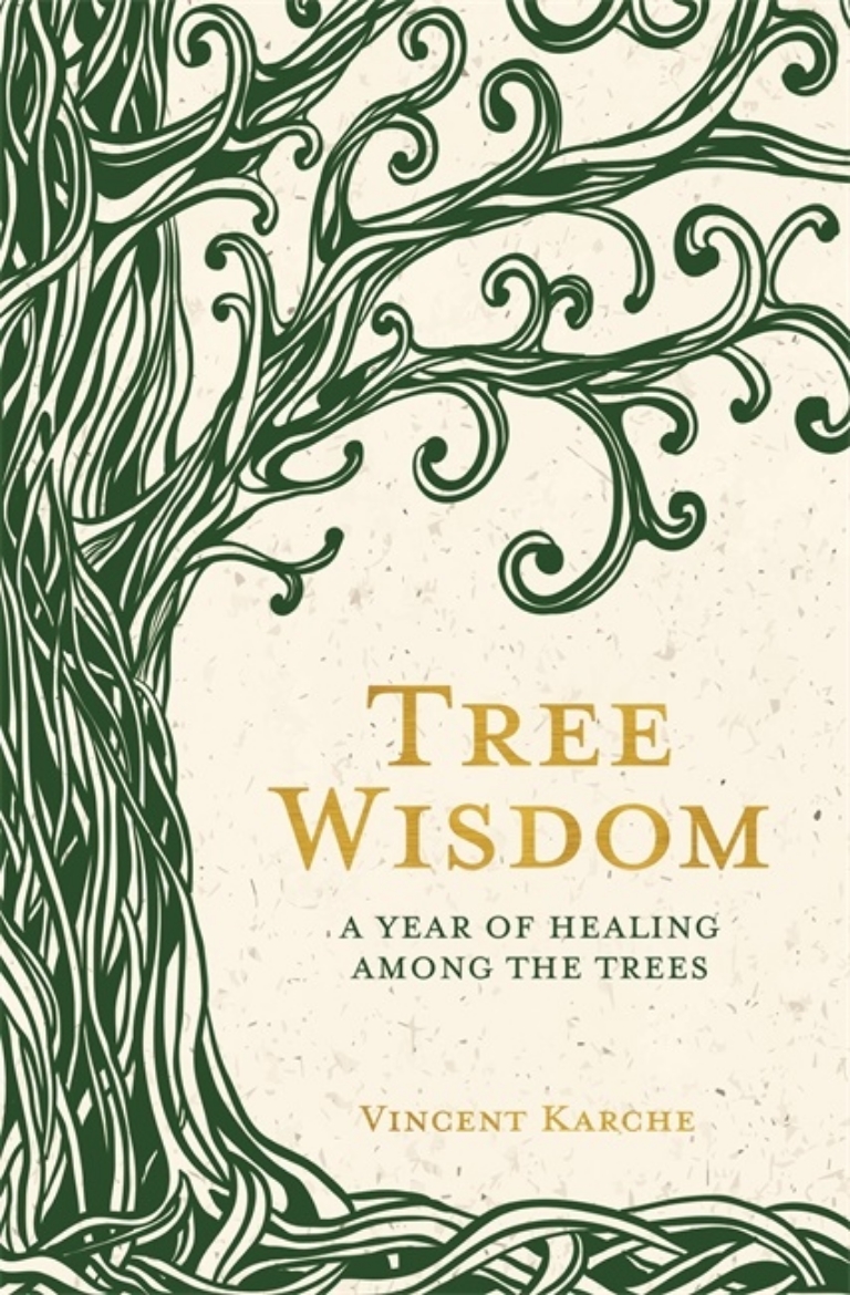 Picture of Tree Wisdom