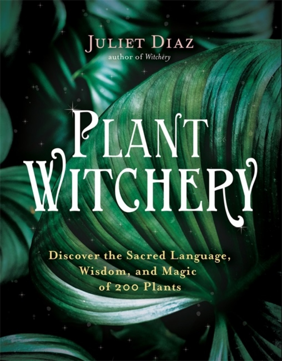 Picture of Plant Witchery