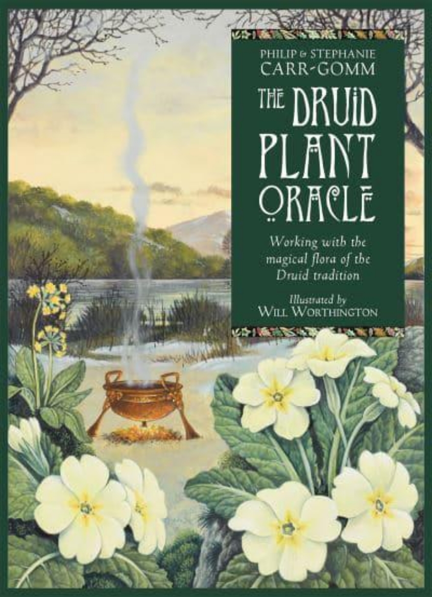 Picture of Druid Plant Oracle Reissue