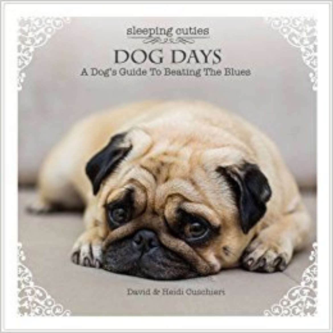 Picture of Dog Days : A Dog’s Guide to Beating the Blues