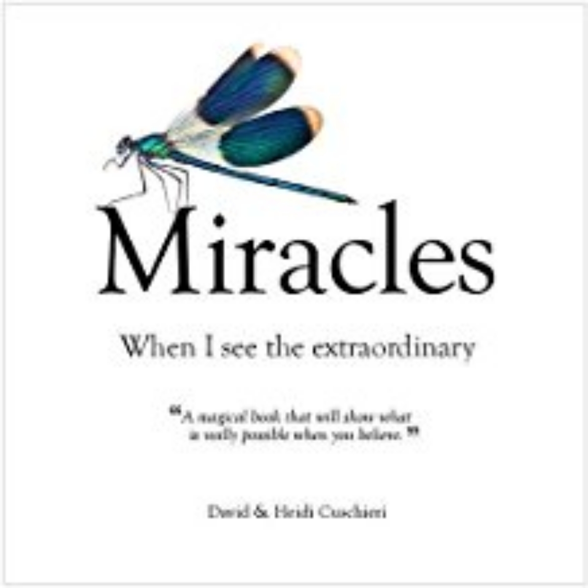 Picture of Miracles : When I See The Extraordinary