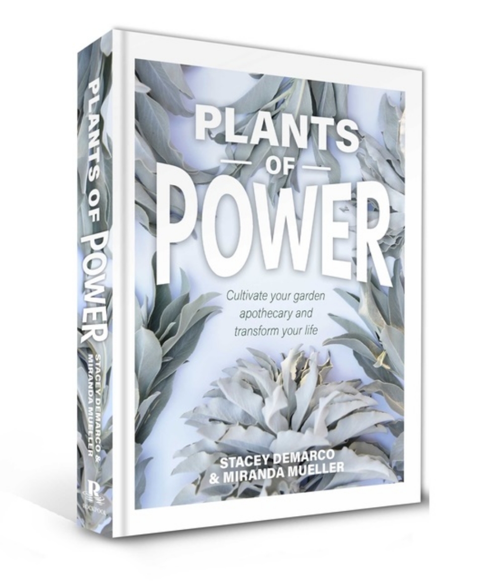 Picture of Plants Of Power