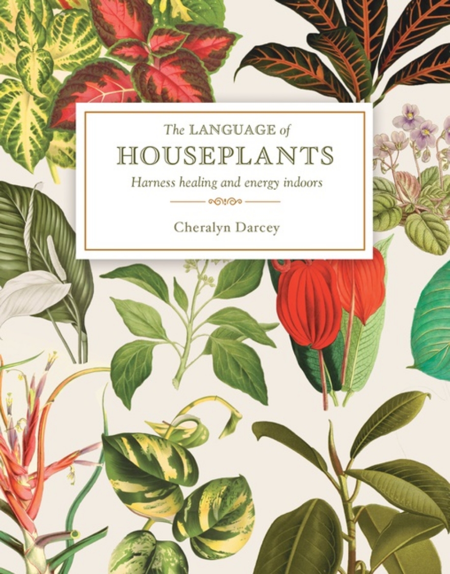 Picture of The Language of Houseplants: Harness Healing and Energy in the Home