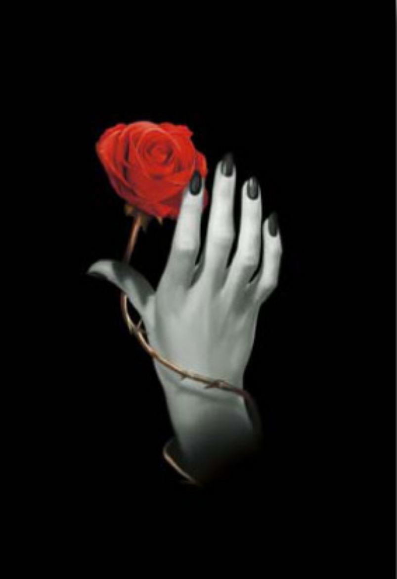 Picture of Rose Hand