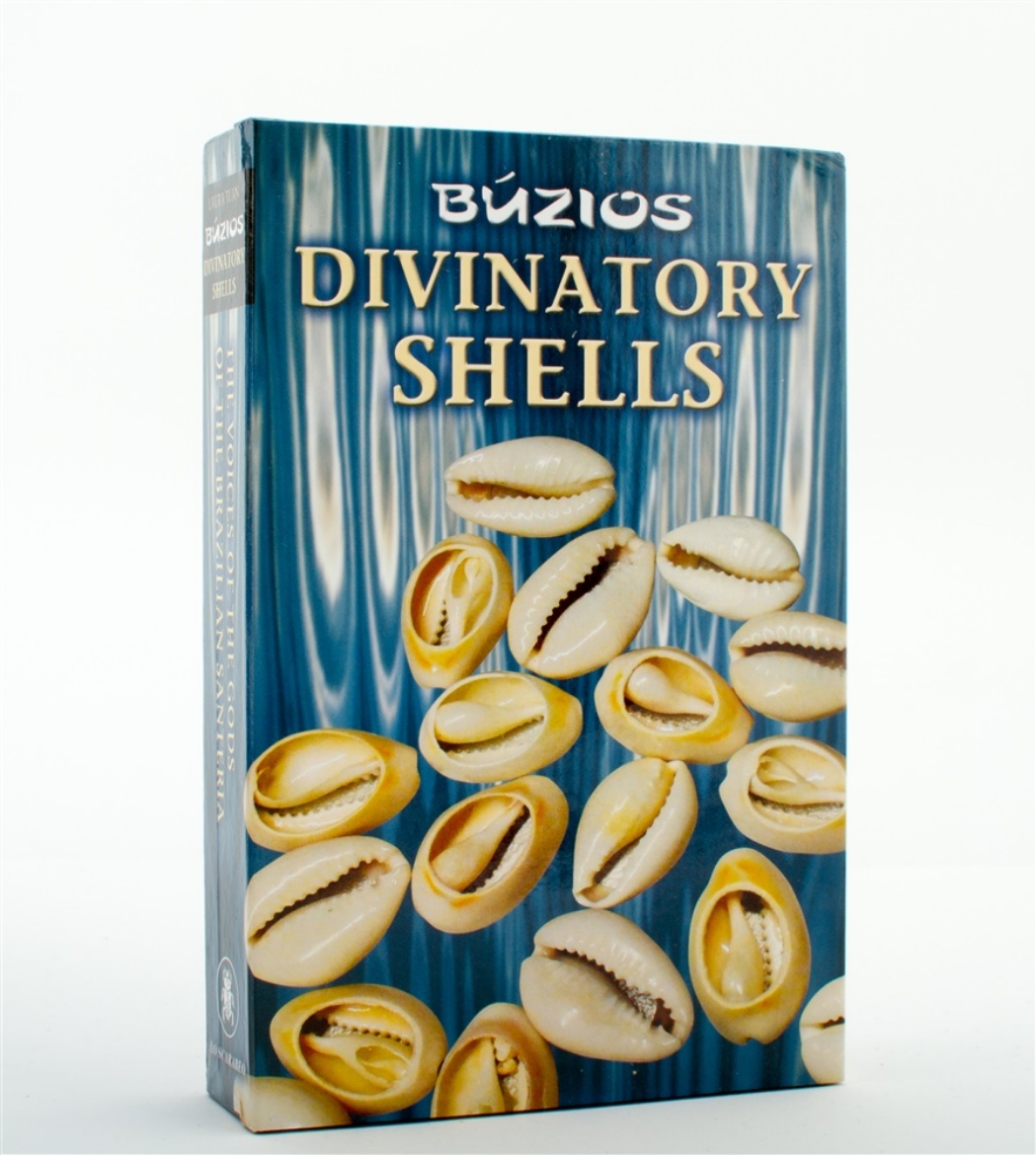 Picture of Divination Shells