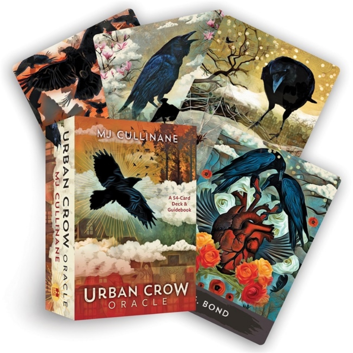 Picture of Urban Crow Oracle