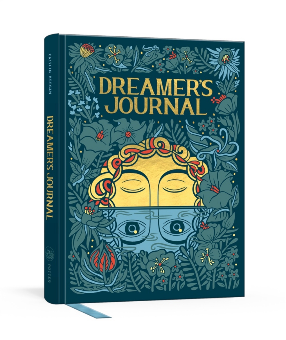 Picture of Dreamer'S Journal : An Illustrated Guide To The Subconscious