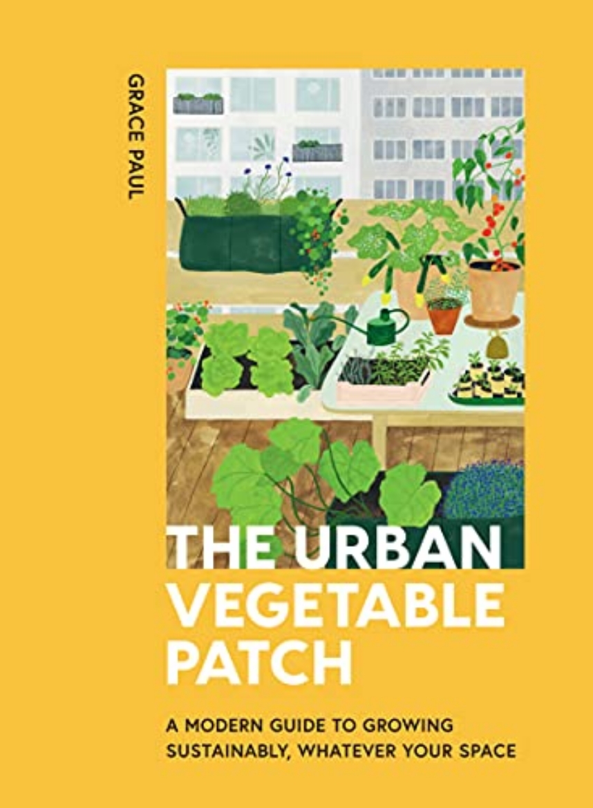 Picture of Urban Vegetable Patch