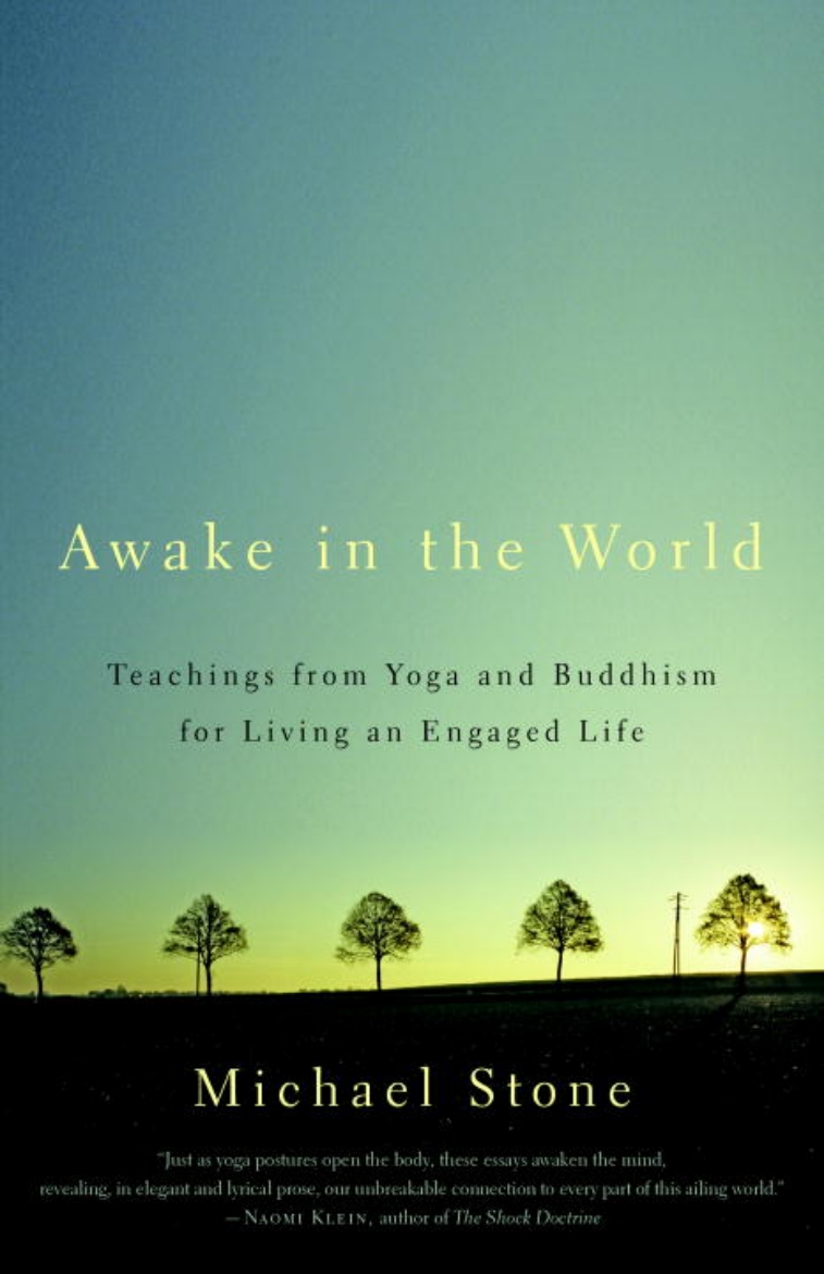 Picture of Awake in the world - teachings from yoga and buddhism for living an engaged