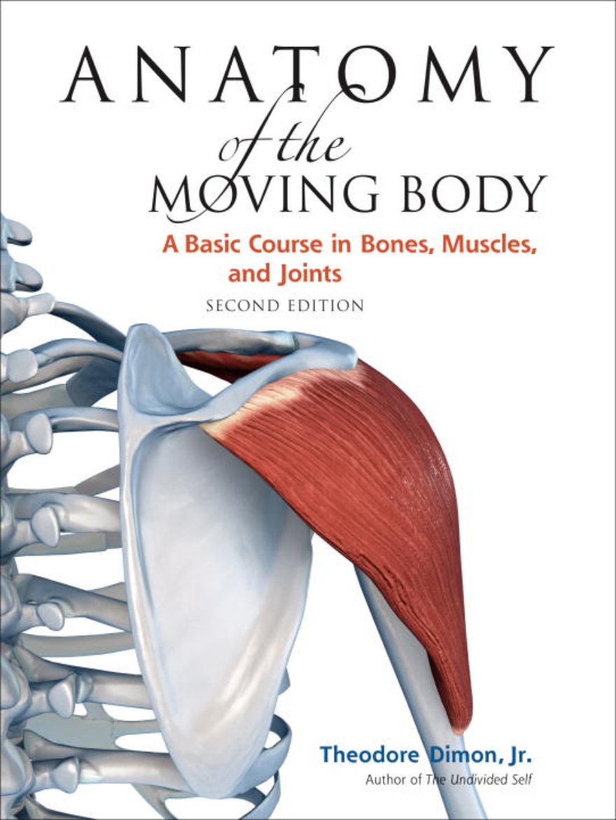 Picture of Anatomy of the Moving Body, Second Edition