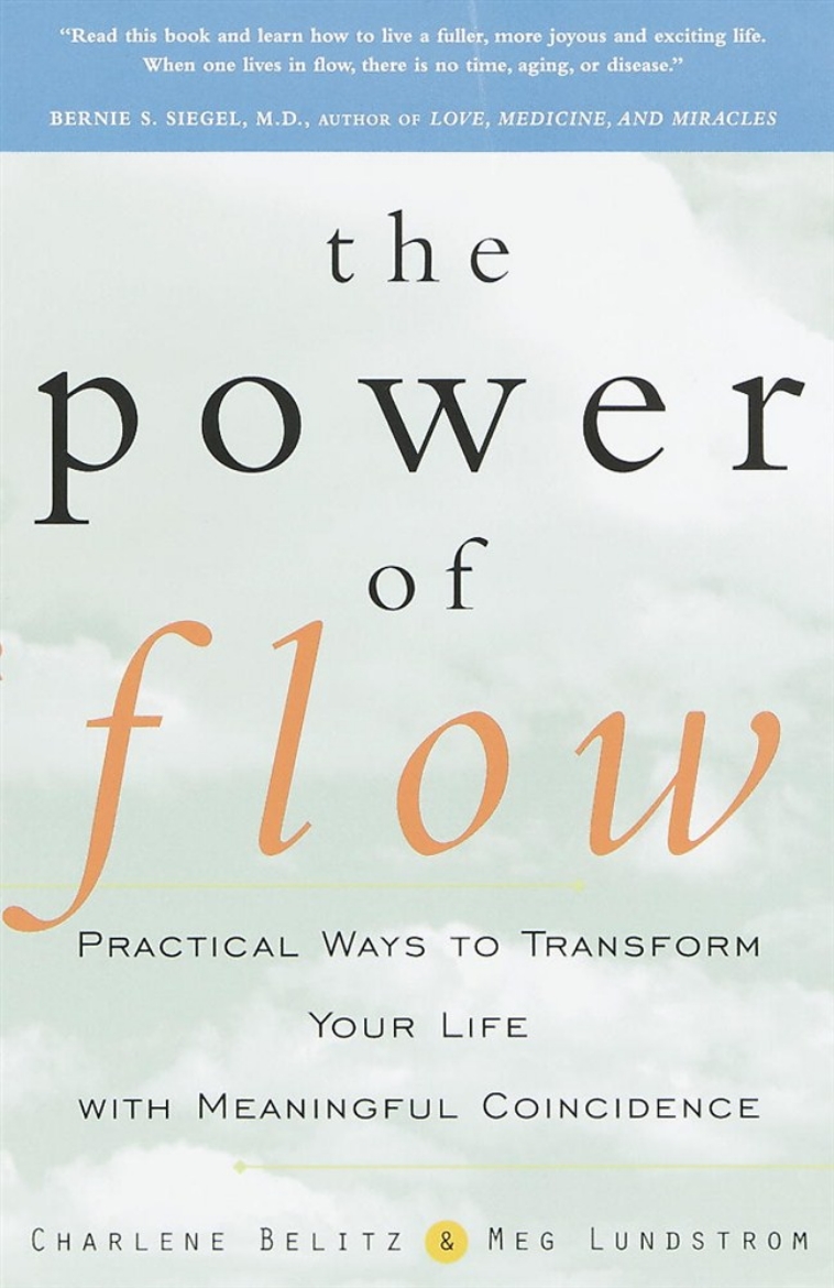 Picture of The Power of Flow