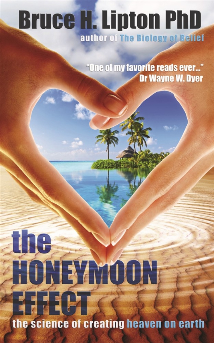 Picture of Honeymoon effect - the science of creating heaven on earth