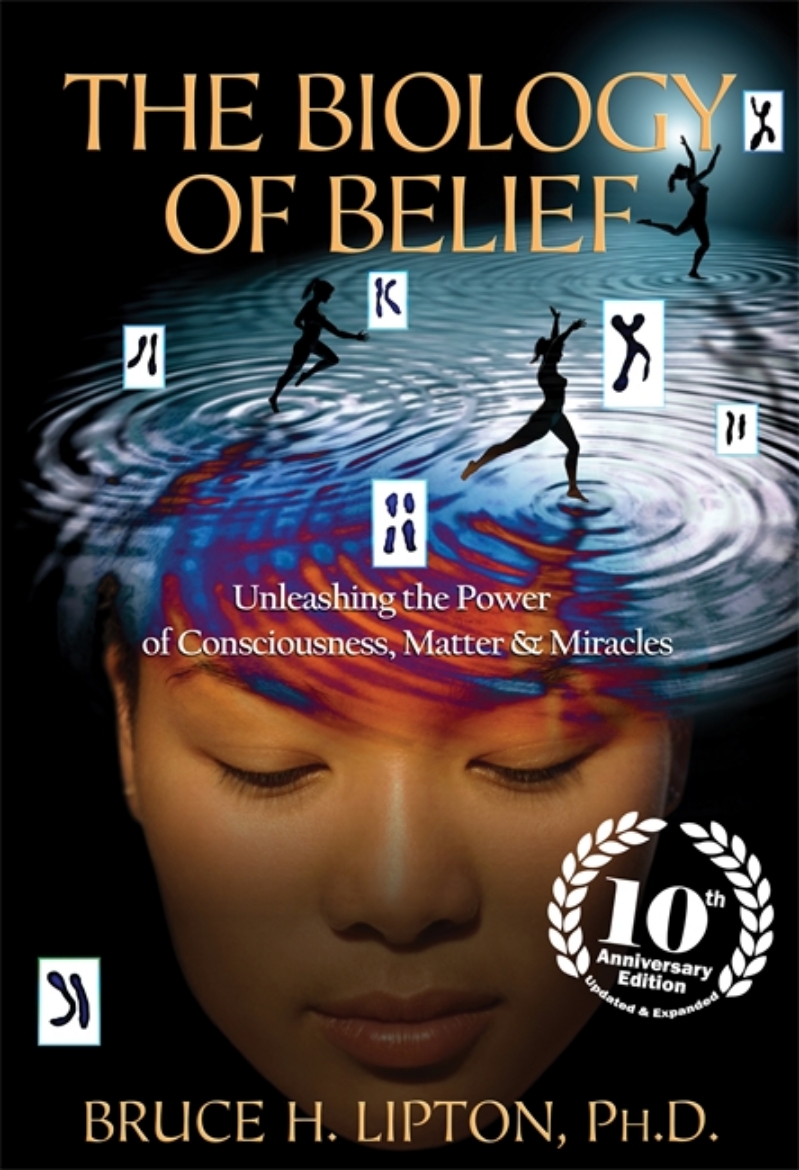 Picture of Biology of belief - unleashing the power of consciousness, matter & miracle