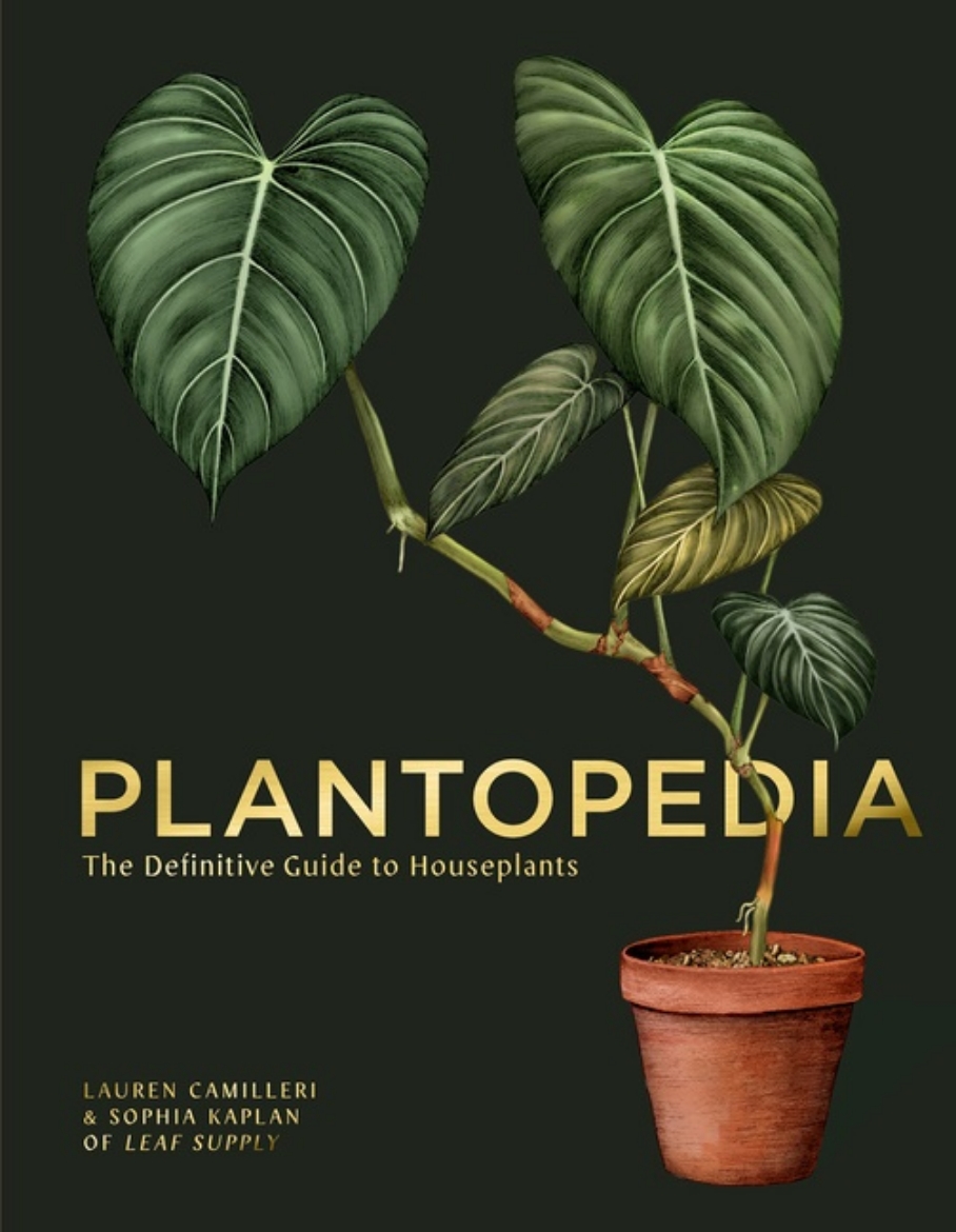 Picture of Plantopedia