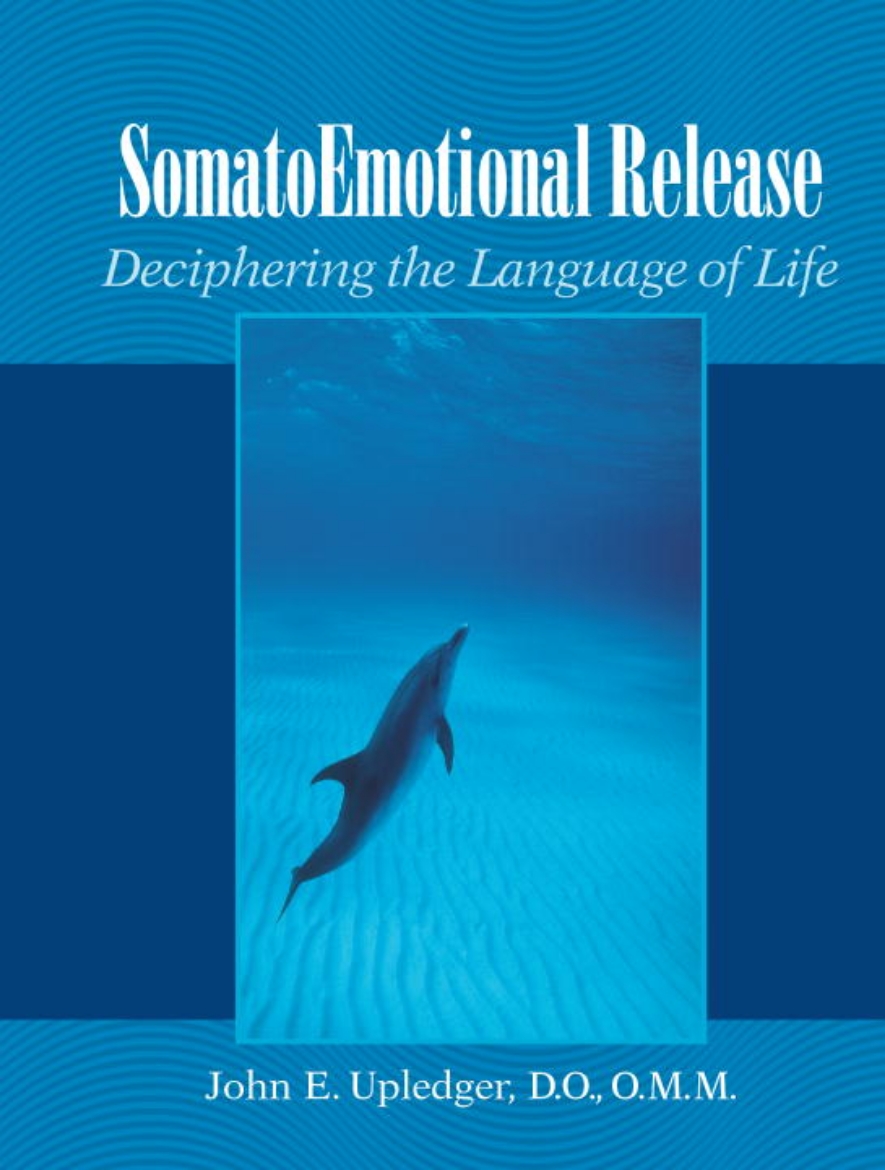 Picture of SomatoEmotional Release