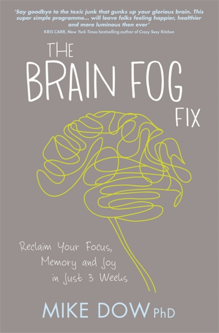 Picture of Brain fog fix - reclaim your focus, memory and joy in just 3 weeks