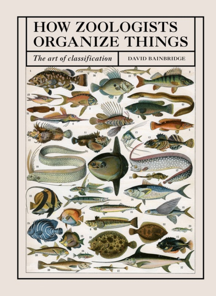 Picture of How Zoologists Organize Things