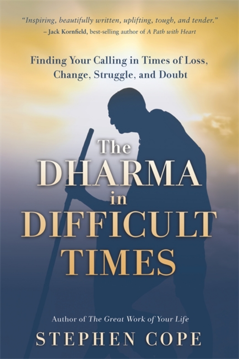 Picture of The Dharma in Difficult Times