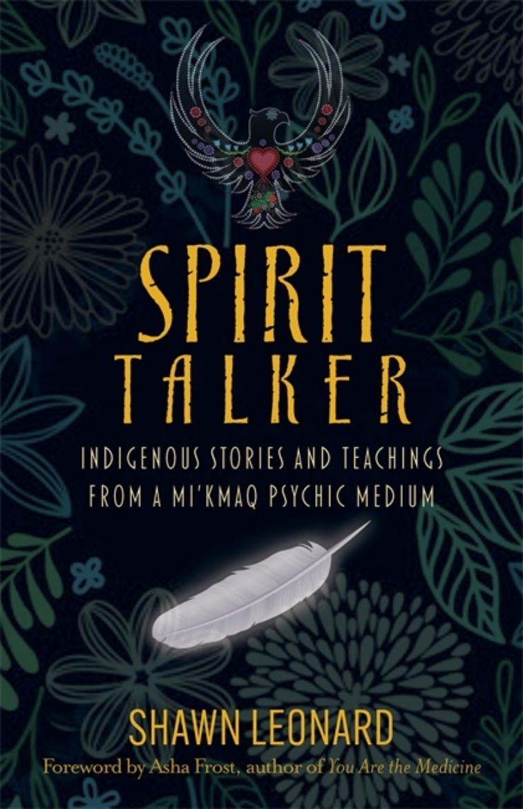 Picture of Spirit Talker