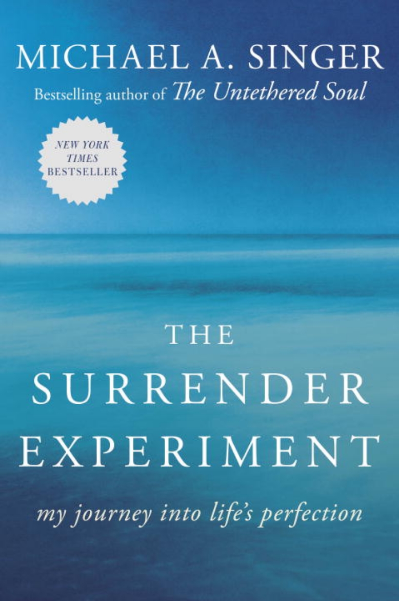 Picture of The Surrender Experiment