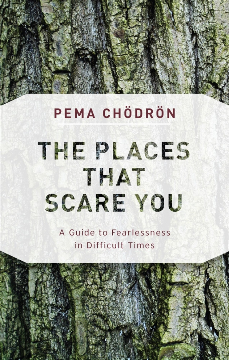 Picture of The Places That Scare You