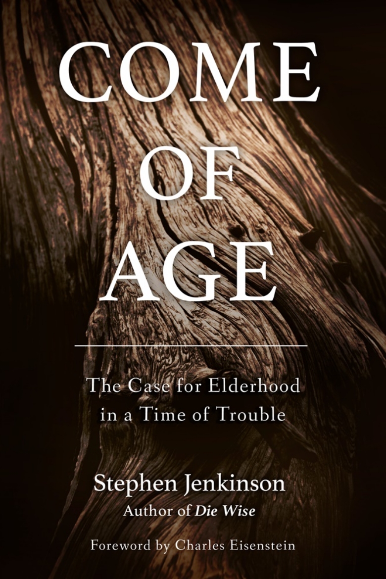 Picture of Come of age - the case for elderhood in a time of trouble