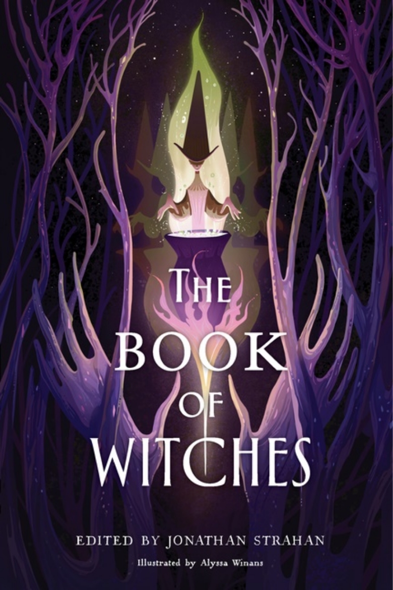 Picture of Book of Witches, The